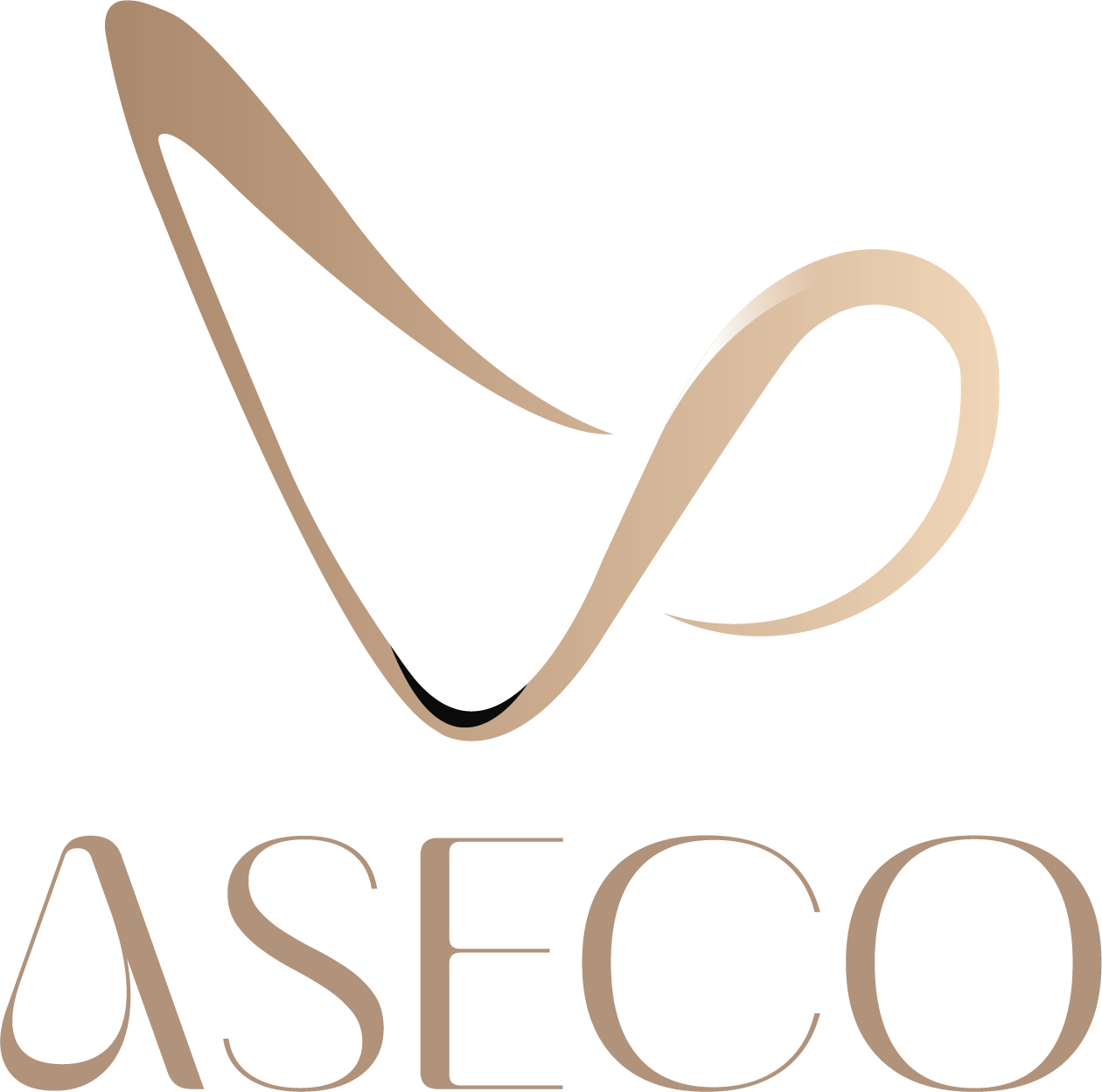 ASECO Contracting & Metal Forming